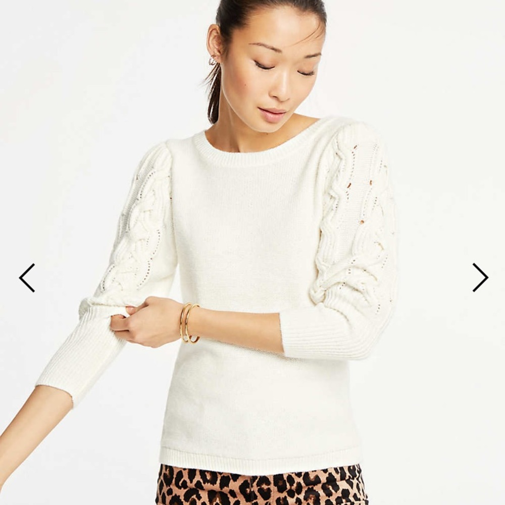 Cable Sleeve Sweater